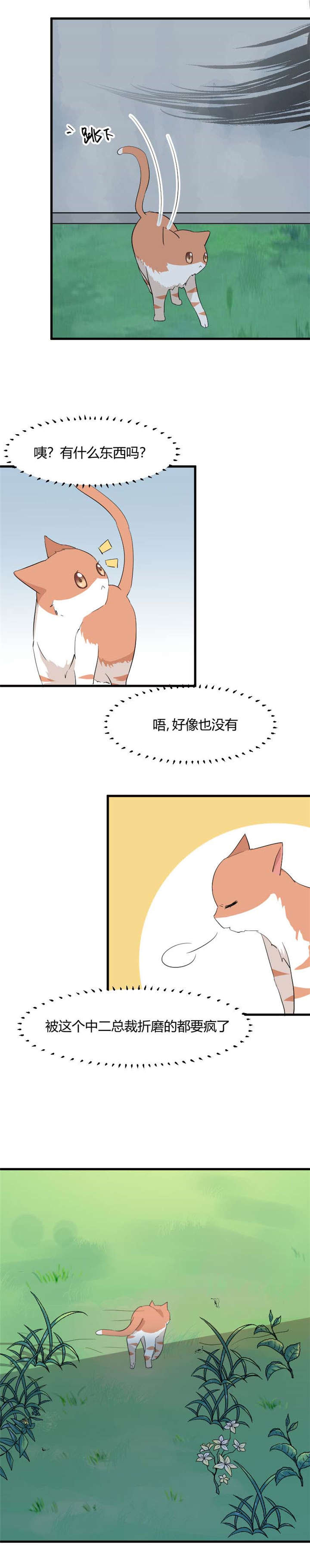 第1章：偶遇中二总裁17