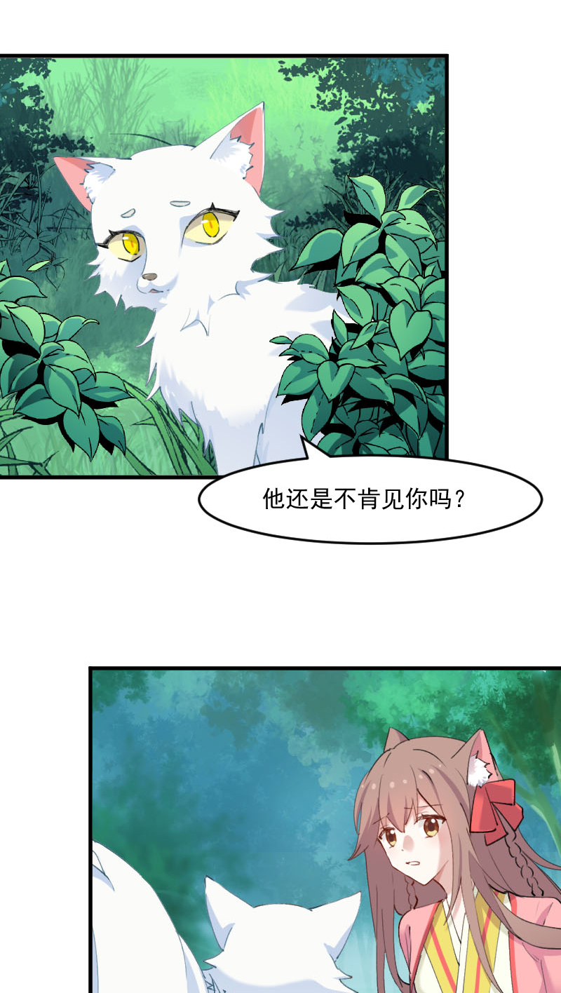 第112章：猫的报恩2