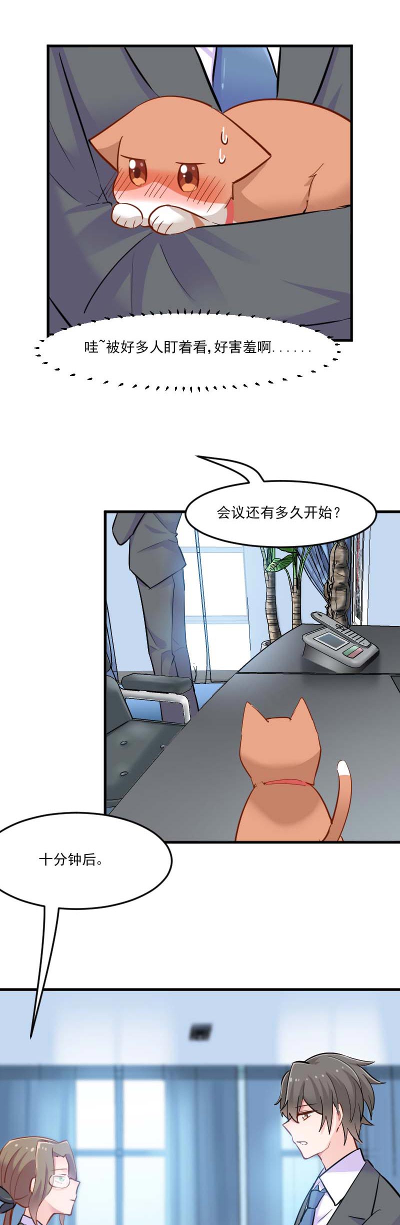 第39章：不许摸我的猫！6