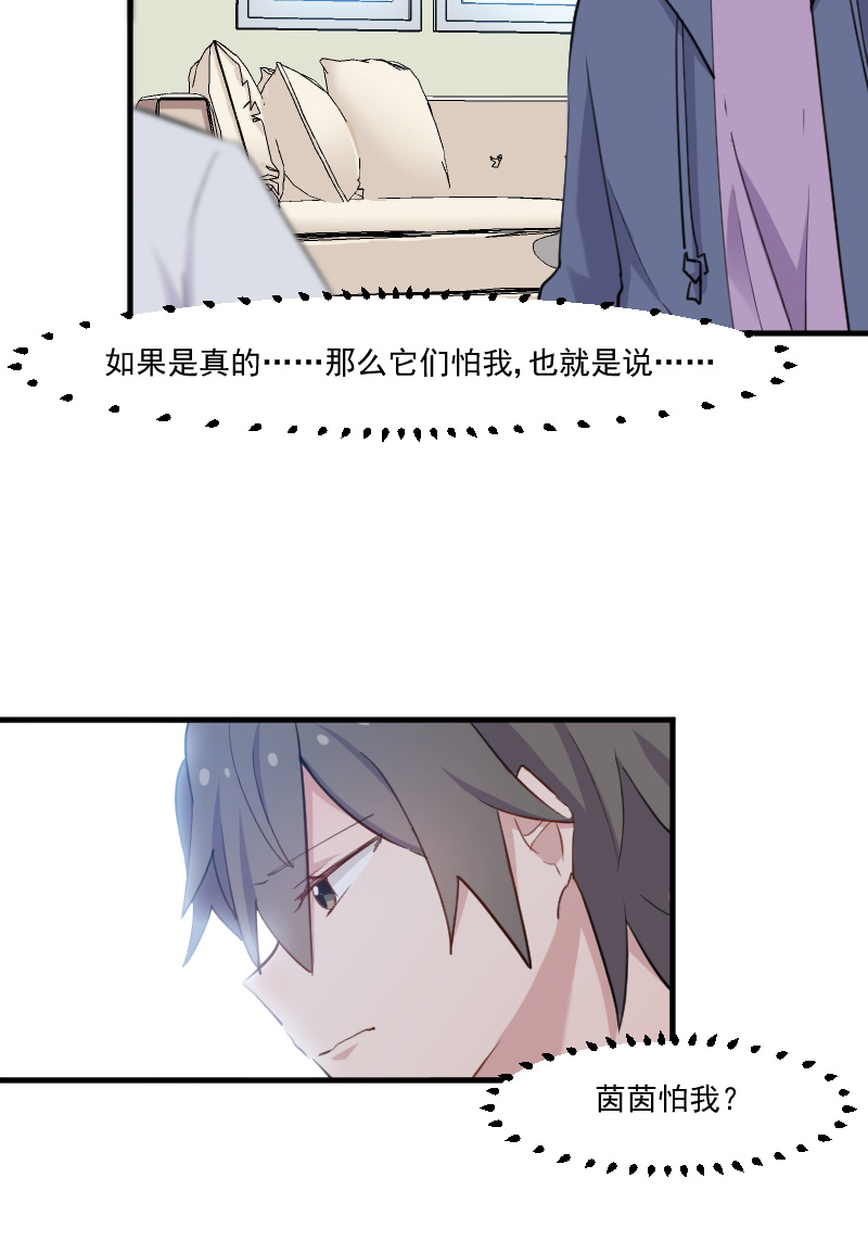 第104章：猫身上的秘密19