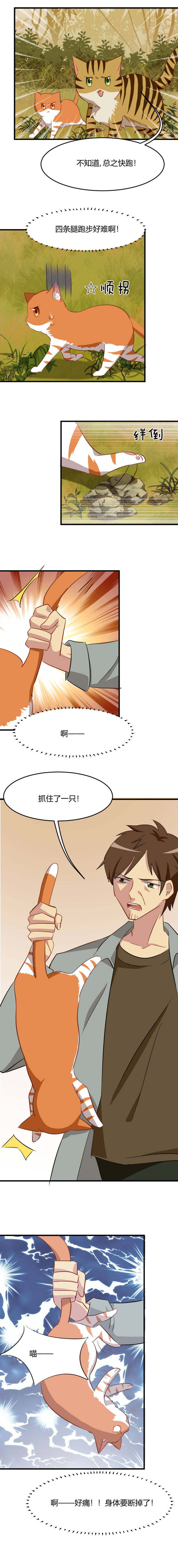 第11章：身体要断掉了2