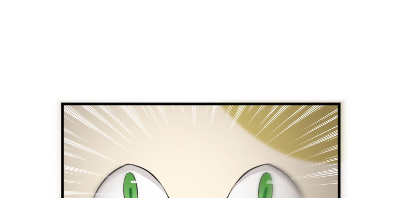 第84章：茵茵被抓走！29