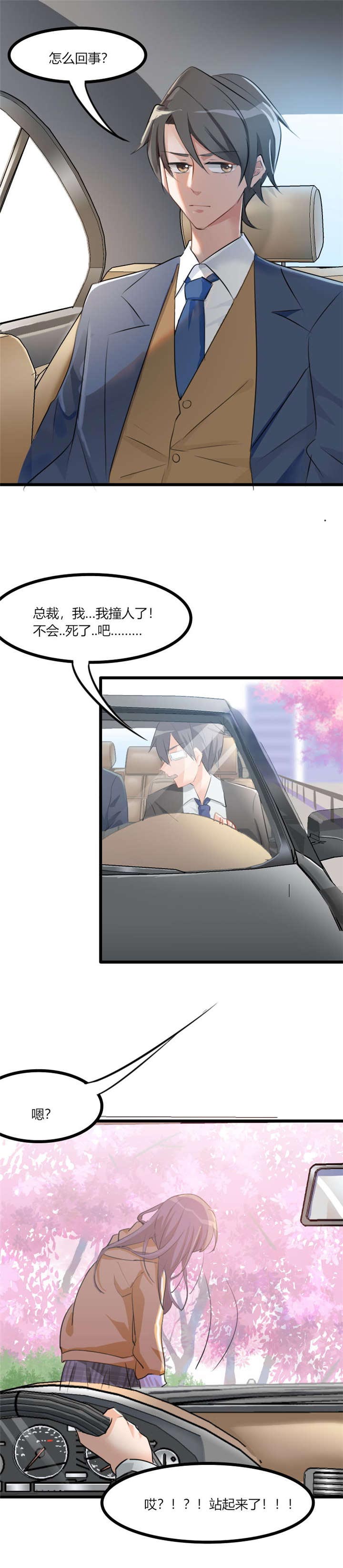 第1章：偶遇中二总裁2