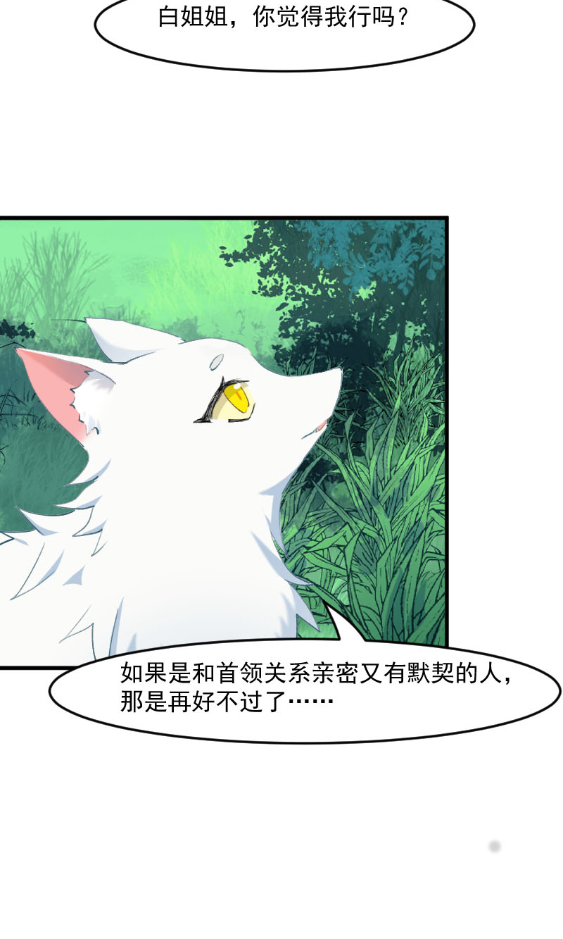 第112章：猫的报恩9
