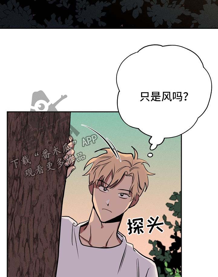 第20章：落单19
