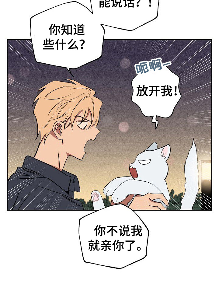 第36章：忠告5
