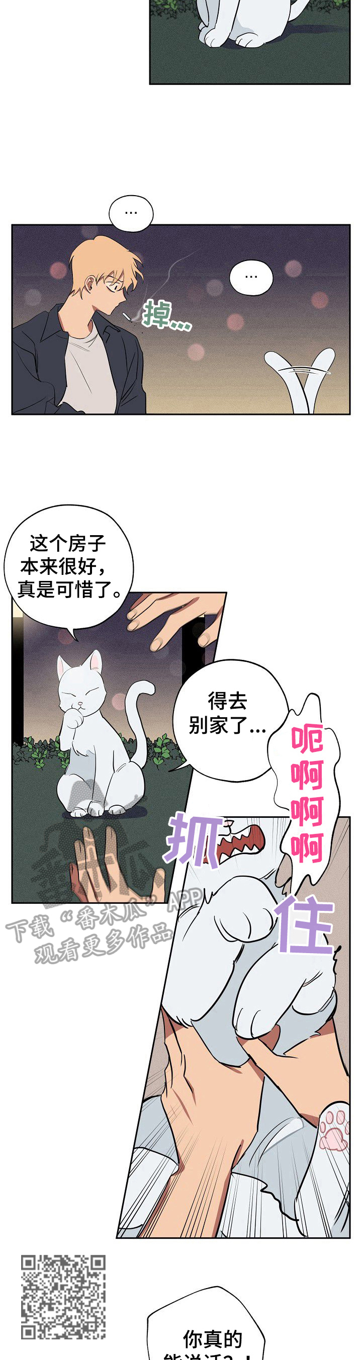 第36章：忠告4
