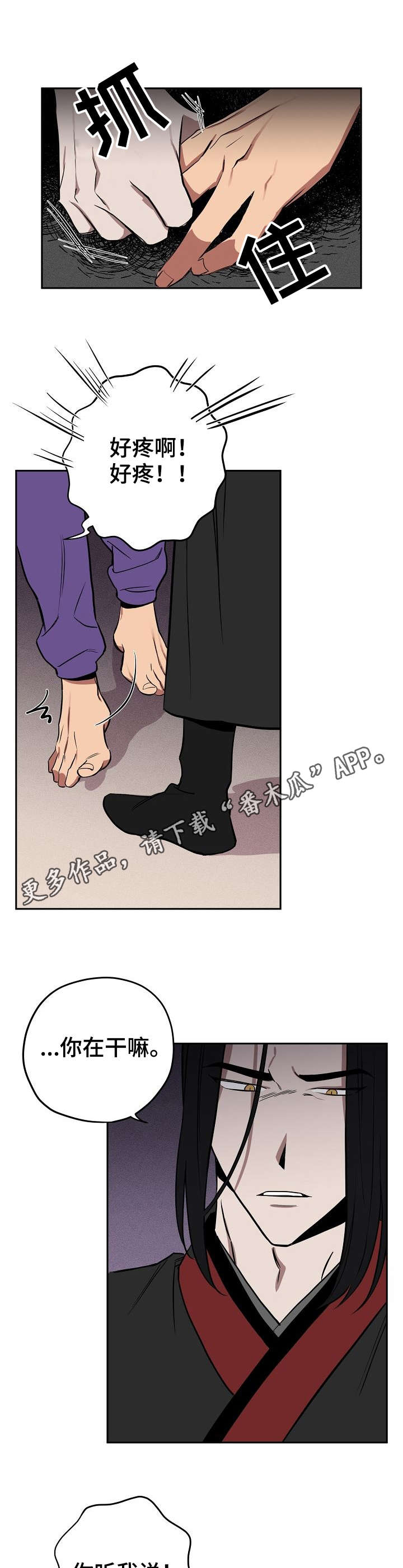 第8章：试验5