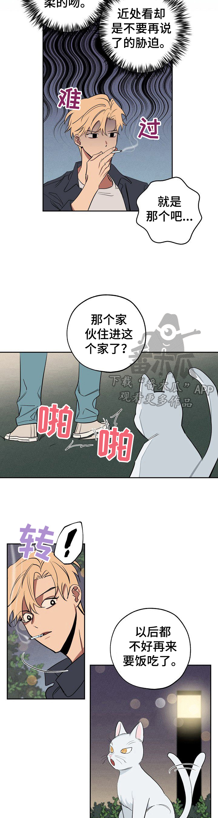 第36章：忠告3