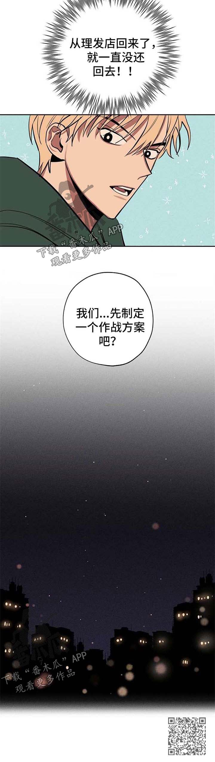 第22章：作战方案11