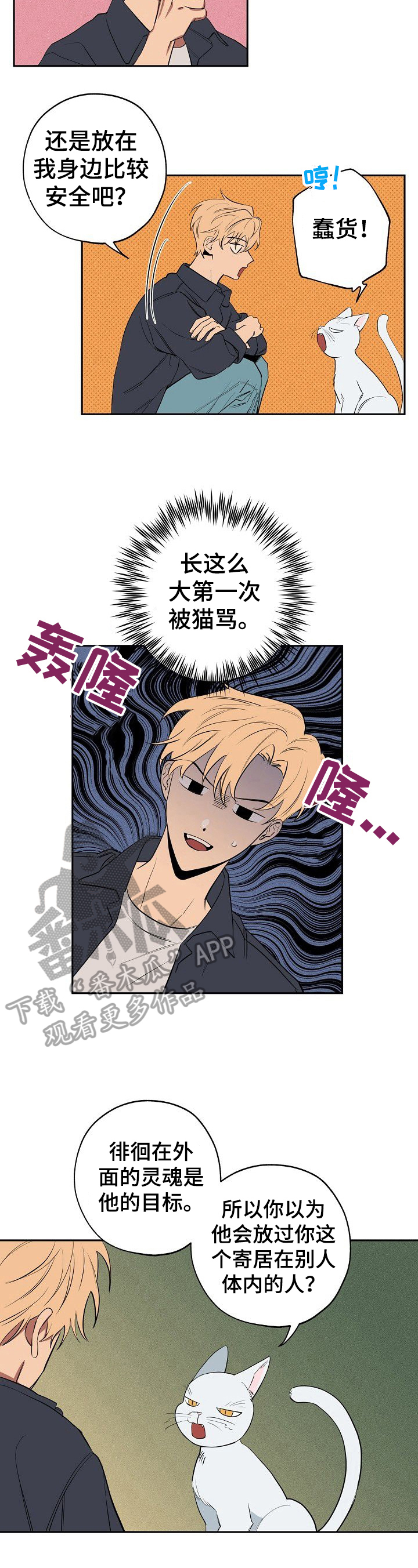 第37章：不省心2