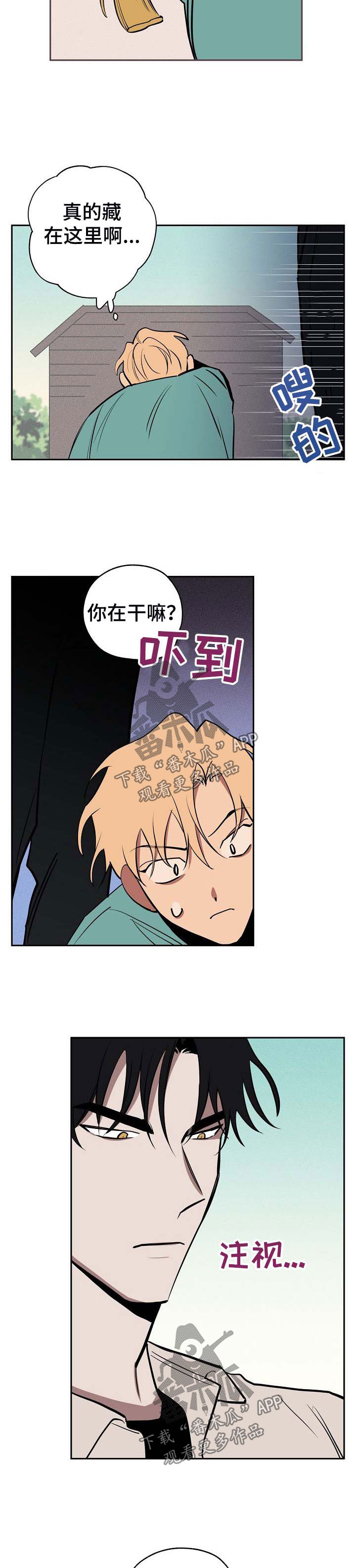 第44章：偷藏8