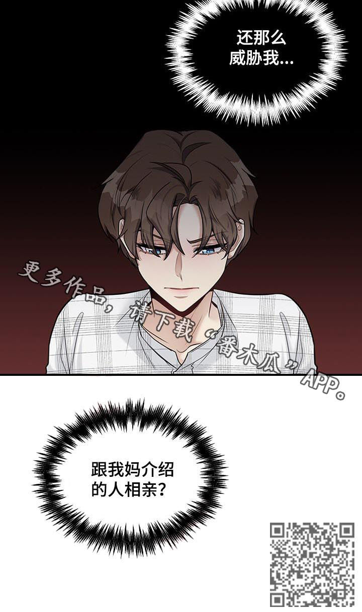 第43章：你要去相亲吗10