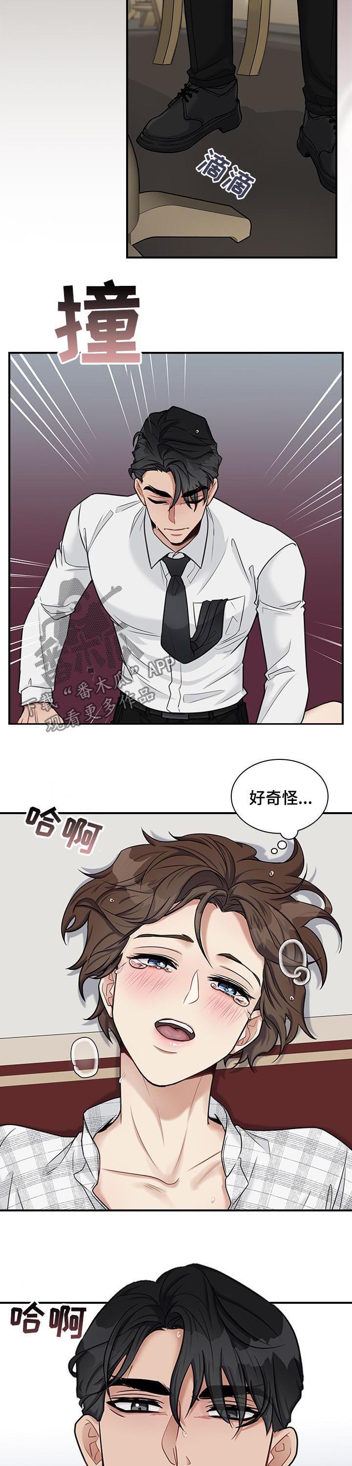 第47章：回来了6