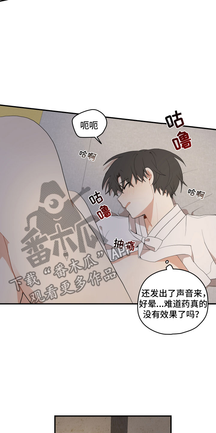 第52章：不要15