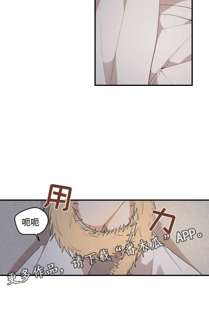第52章：不要19