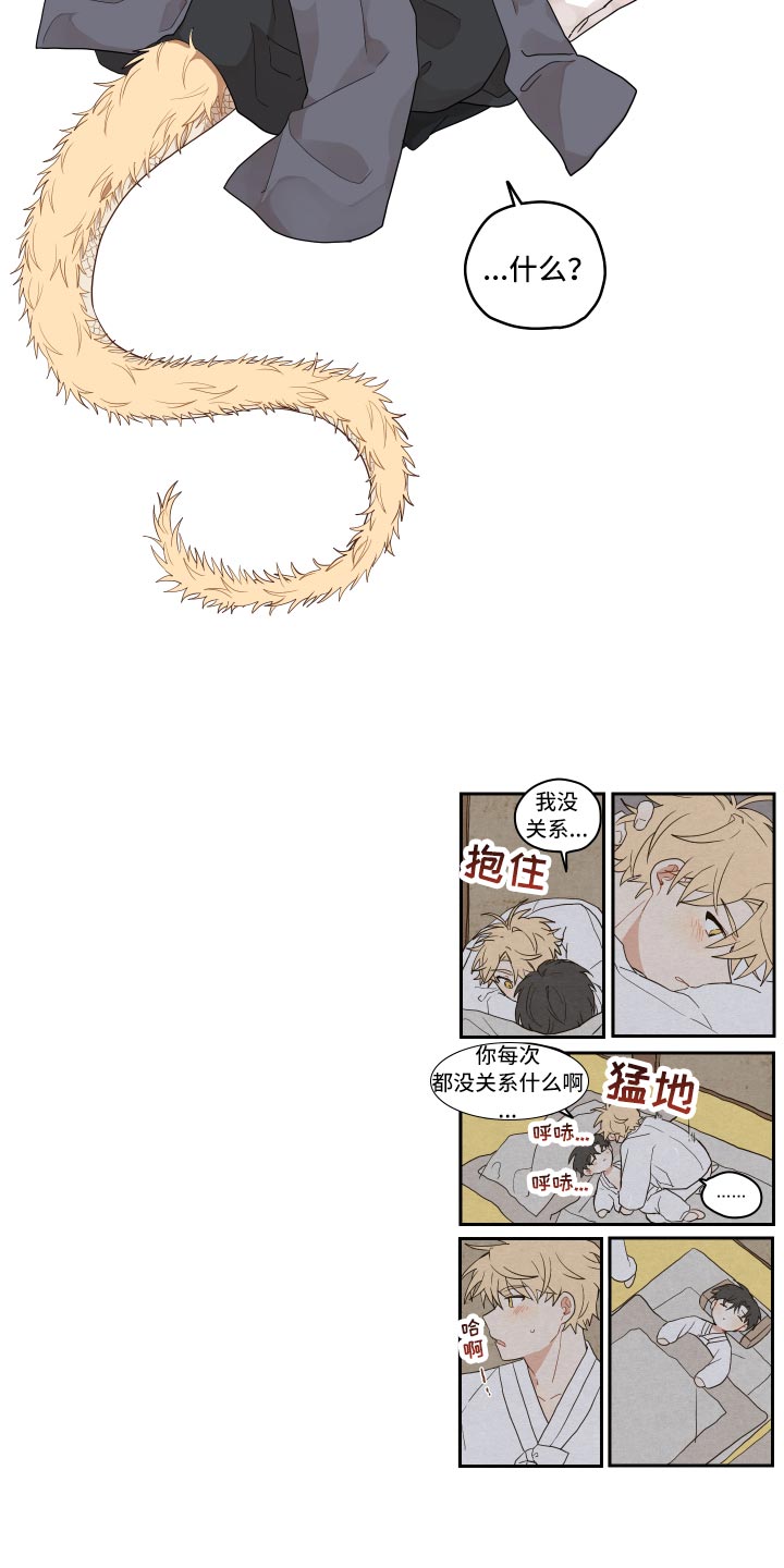 第32章：验证19
