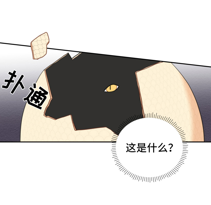 第2章：孵化12