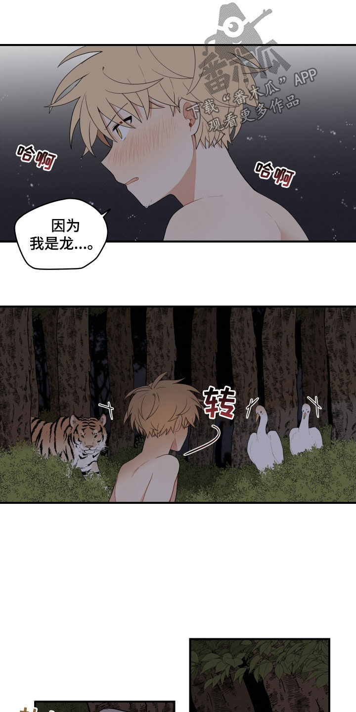 第58章：【番外】抓鱼20