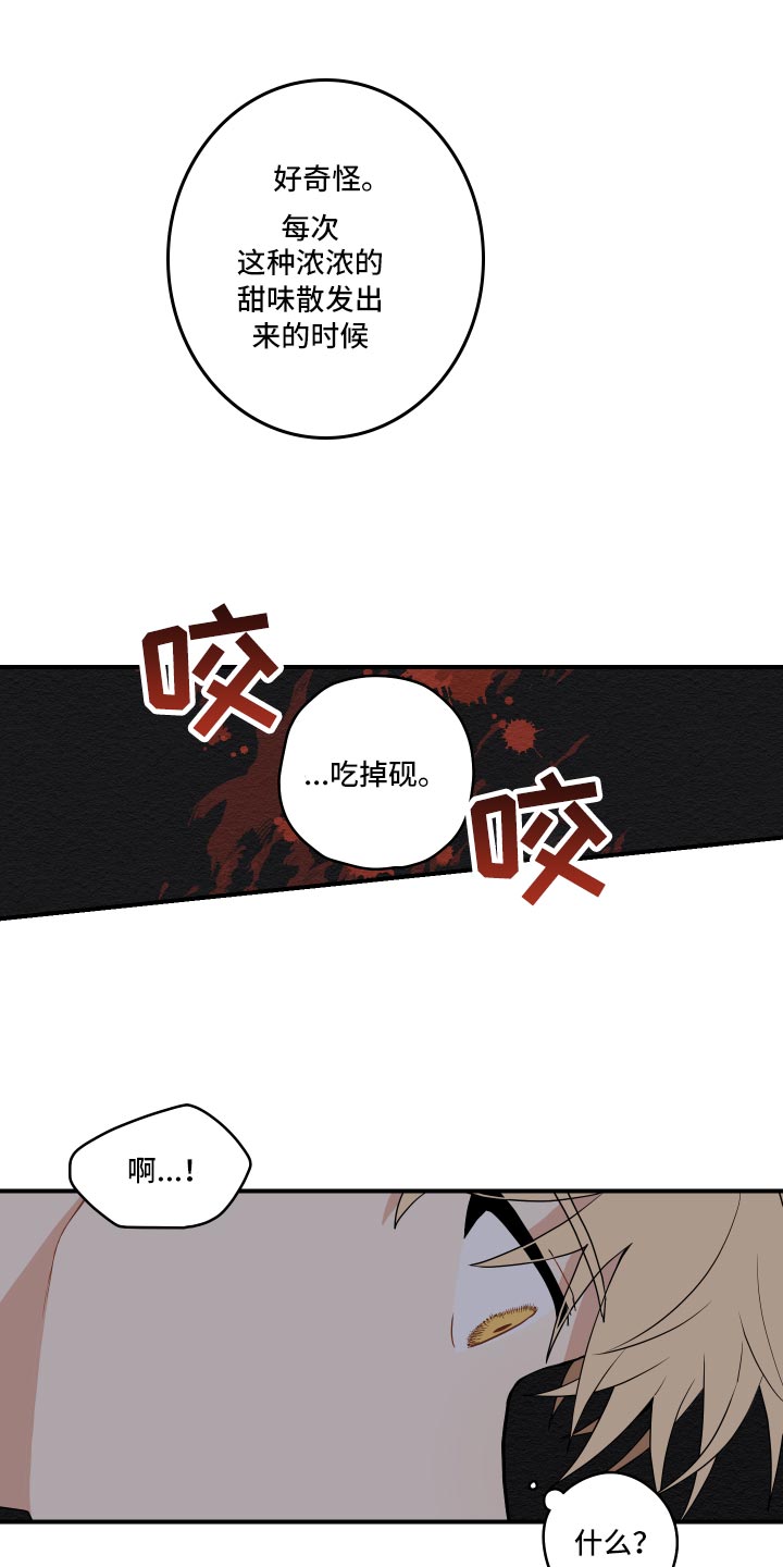 第31章：似梦非梦14