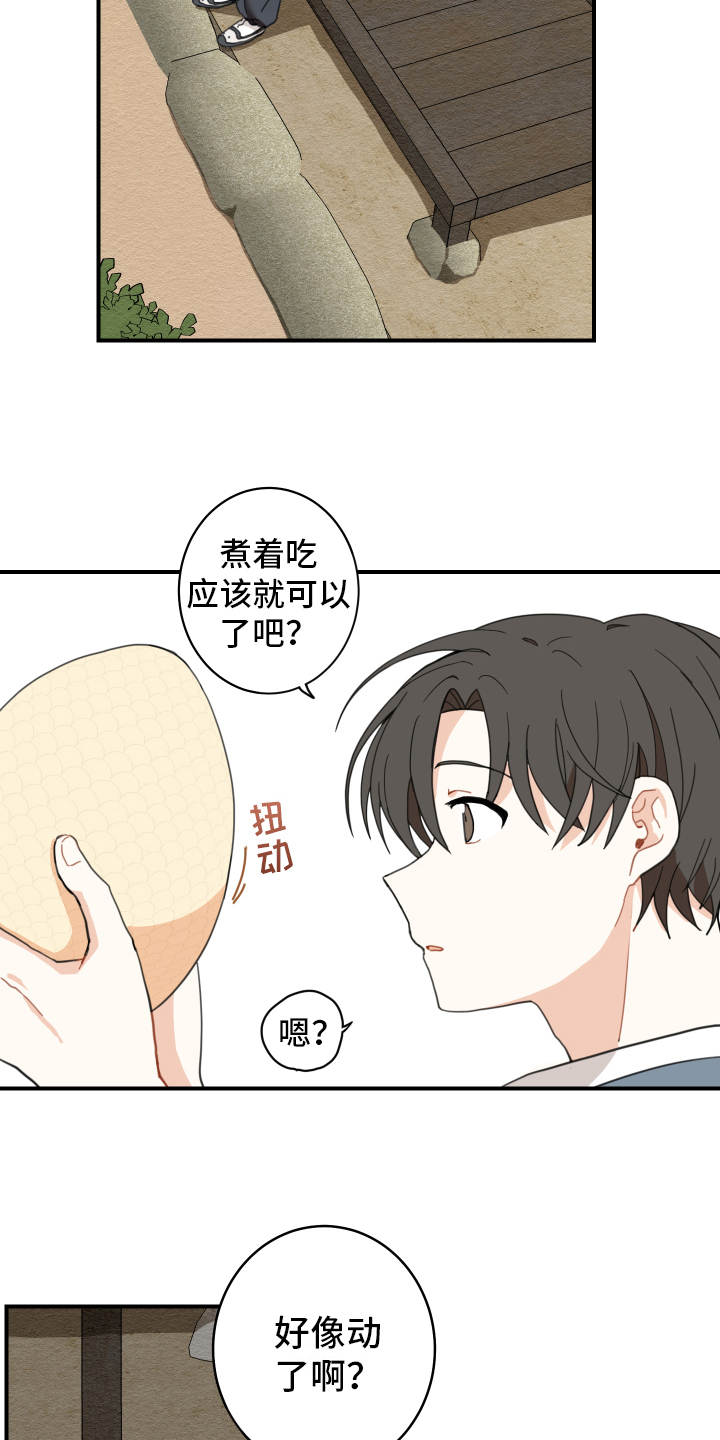 第2章：孵化9