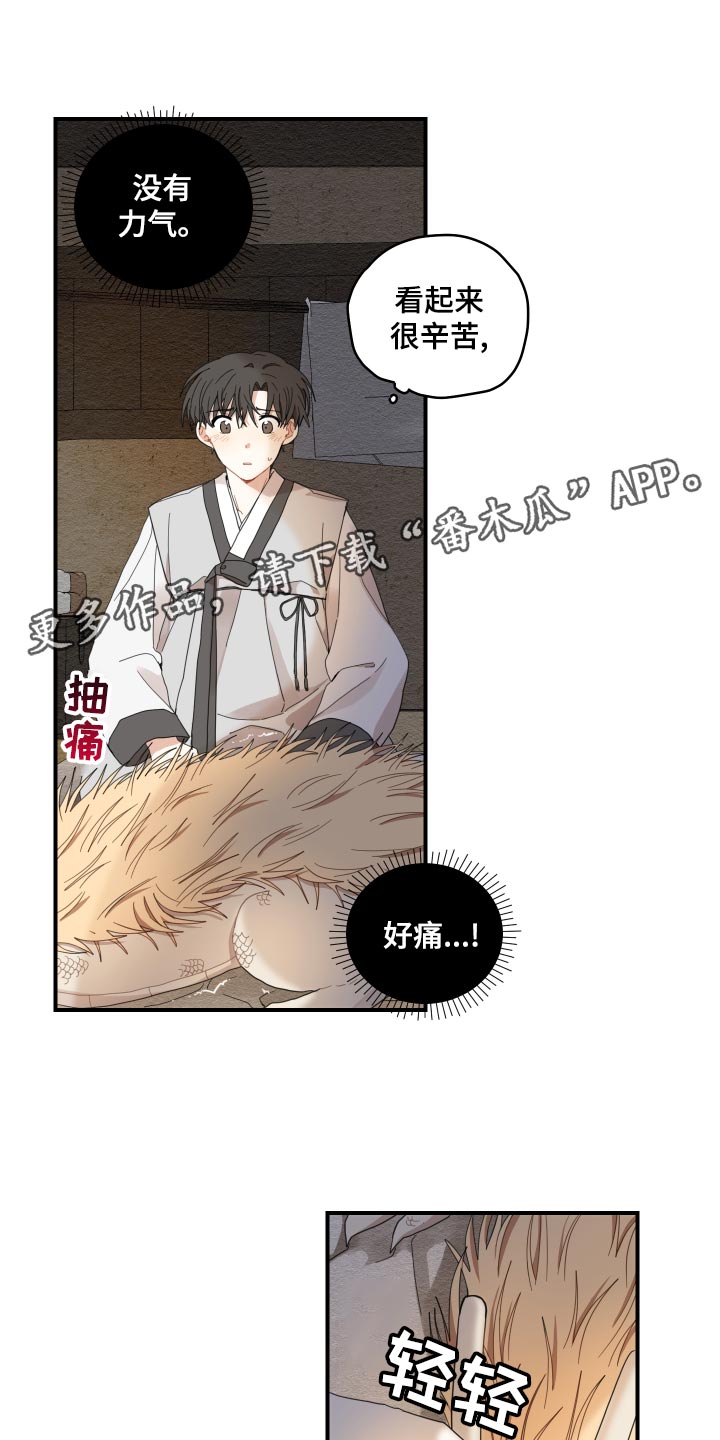 第23章：发烧13