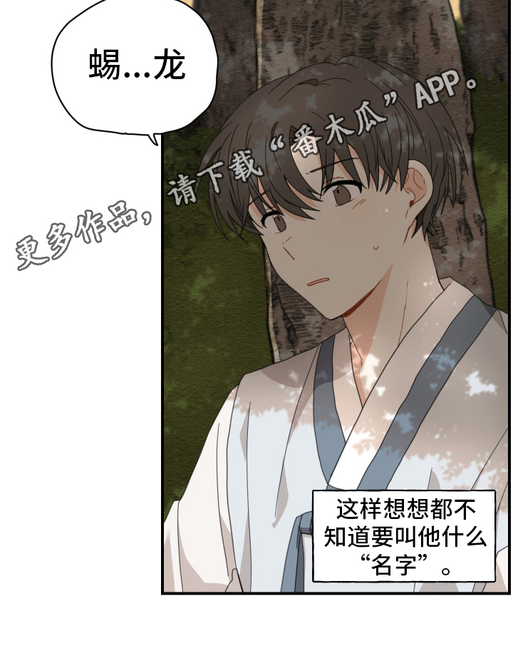 第5章：洗碗14