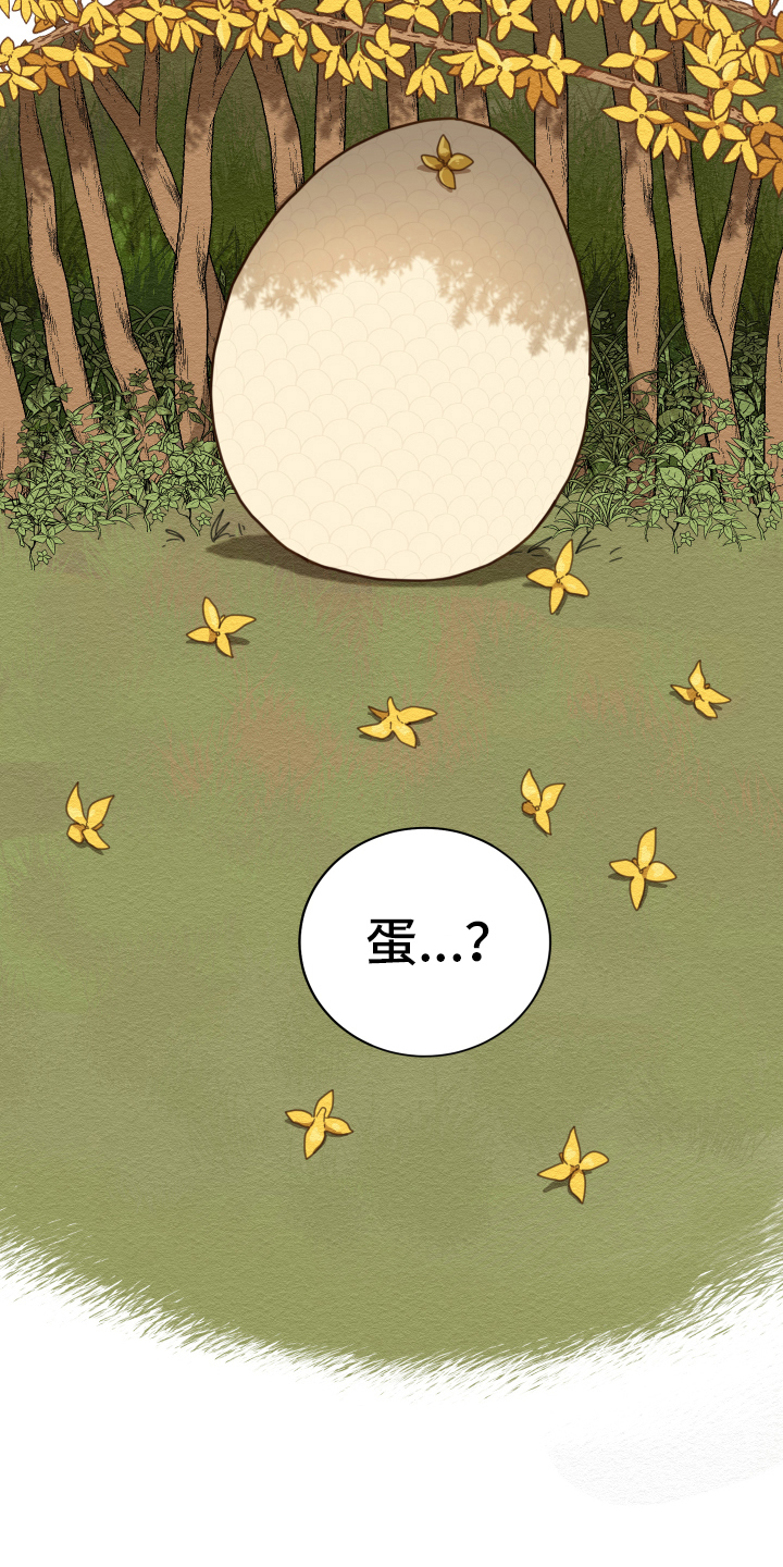第2章：孵化3