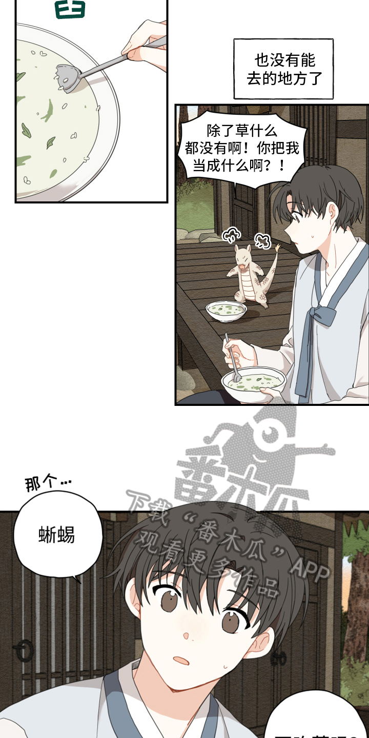 第4章：龙9