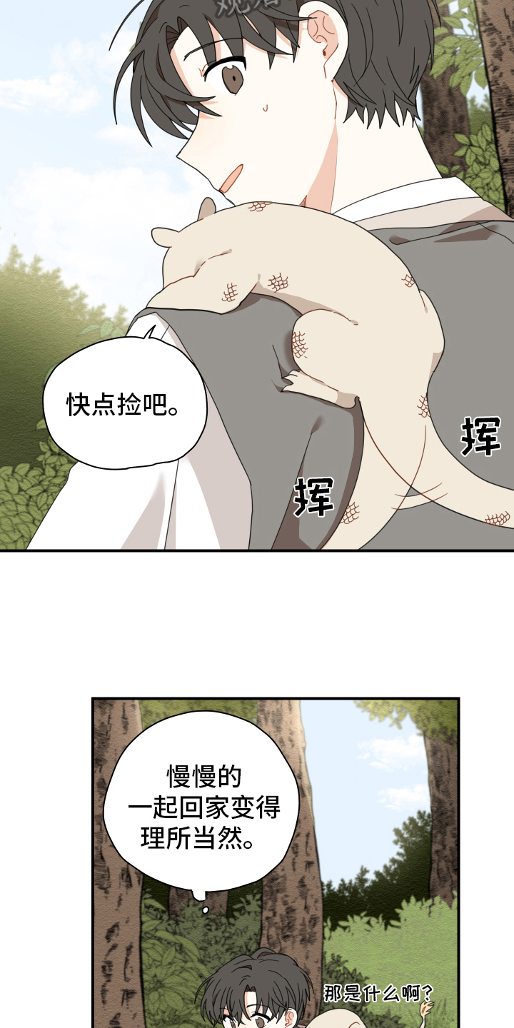 第15章：体质6