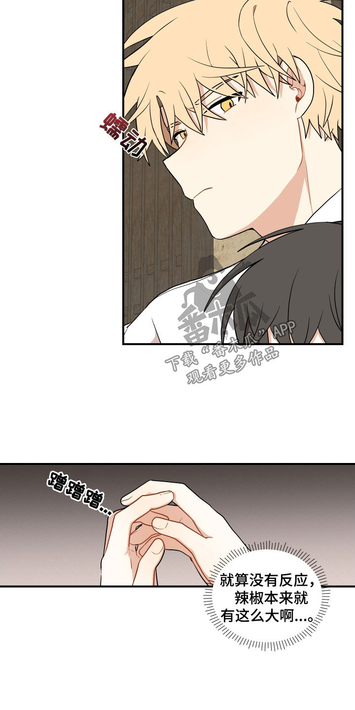第67章：【番外】尾巴7
