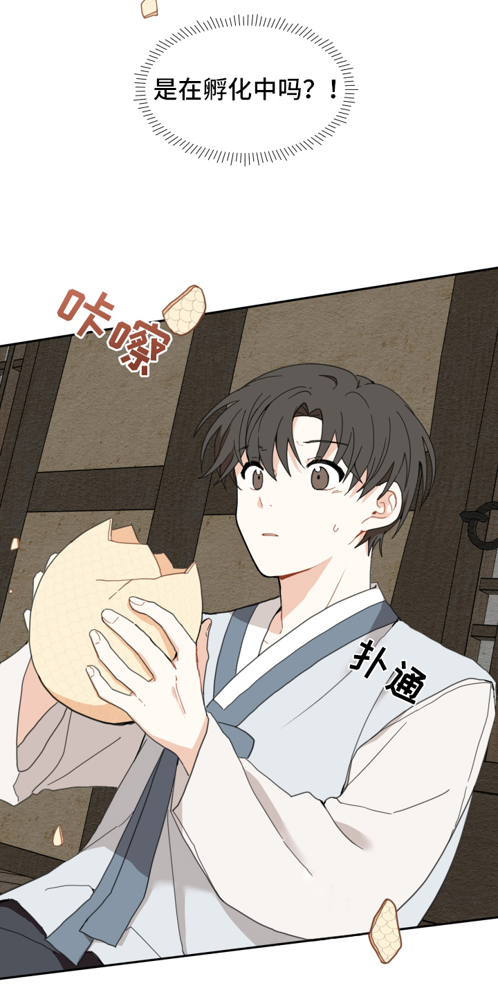 第2章：孵化11