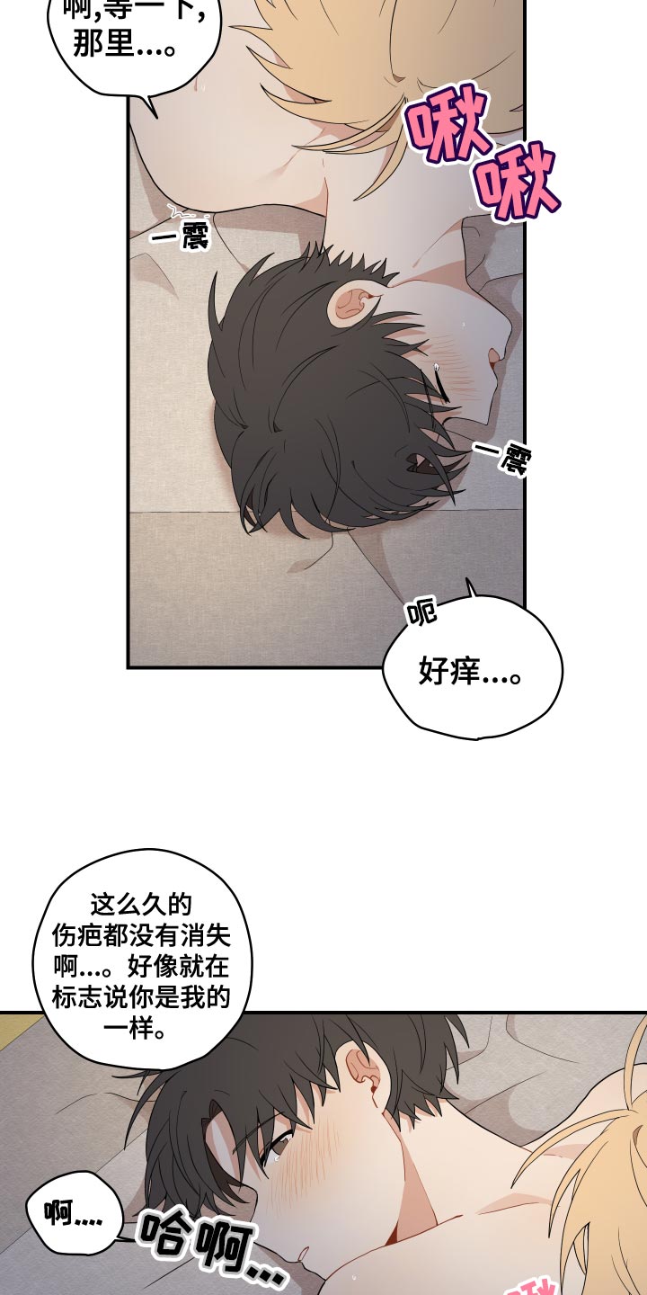 第36章：鳞片6