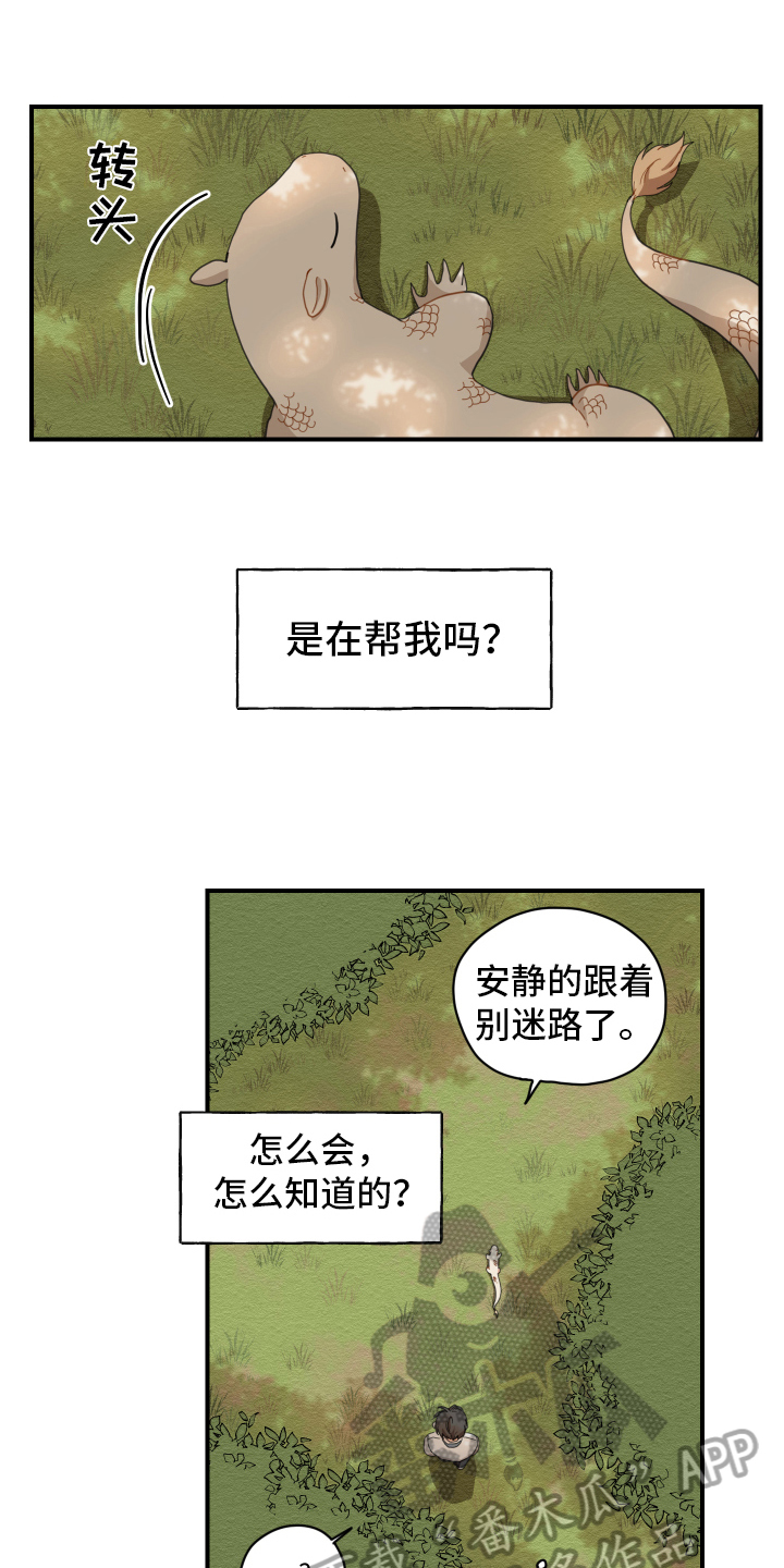 第4章：龙5