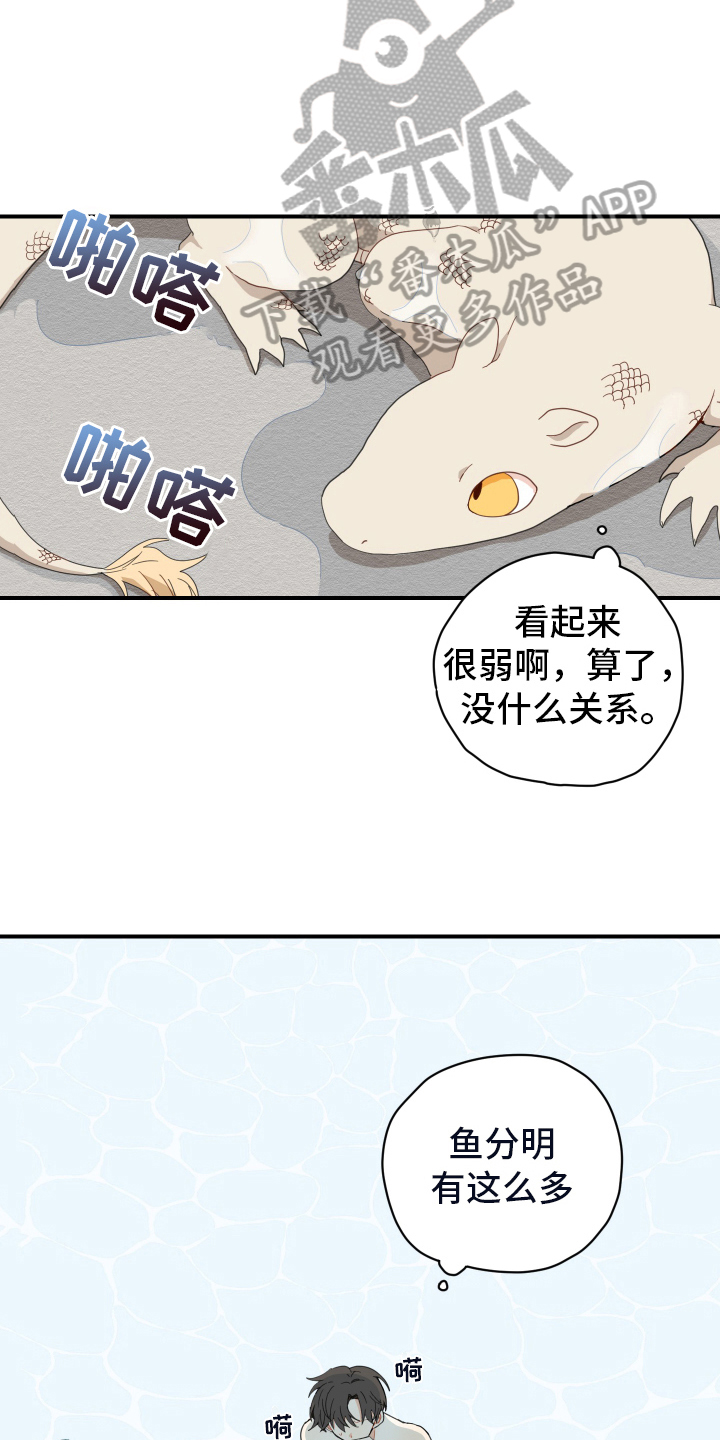 第8章：抓鱼9