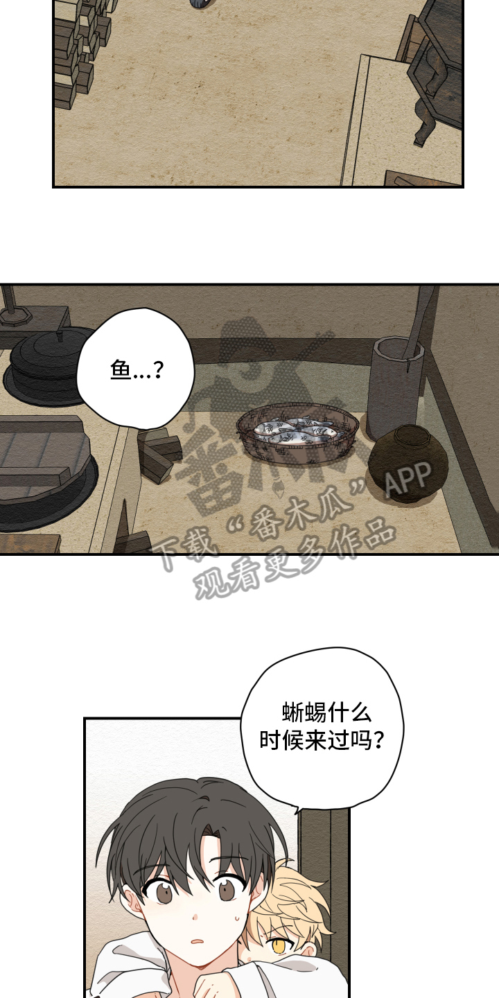 第11章：依赖9