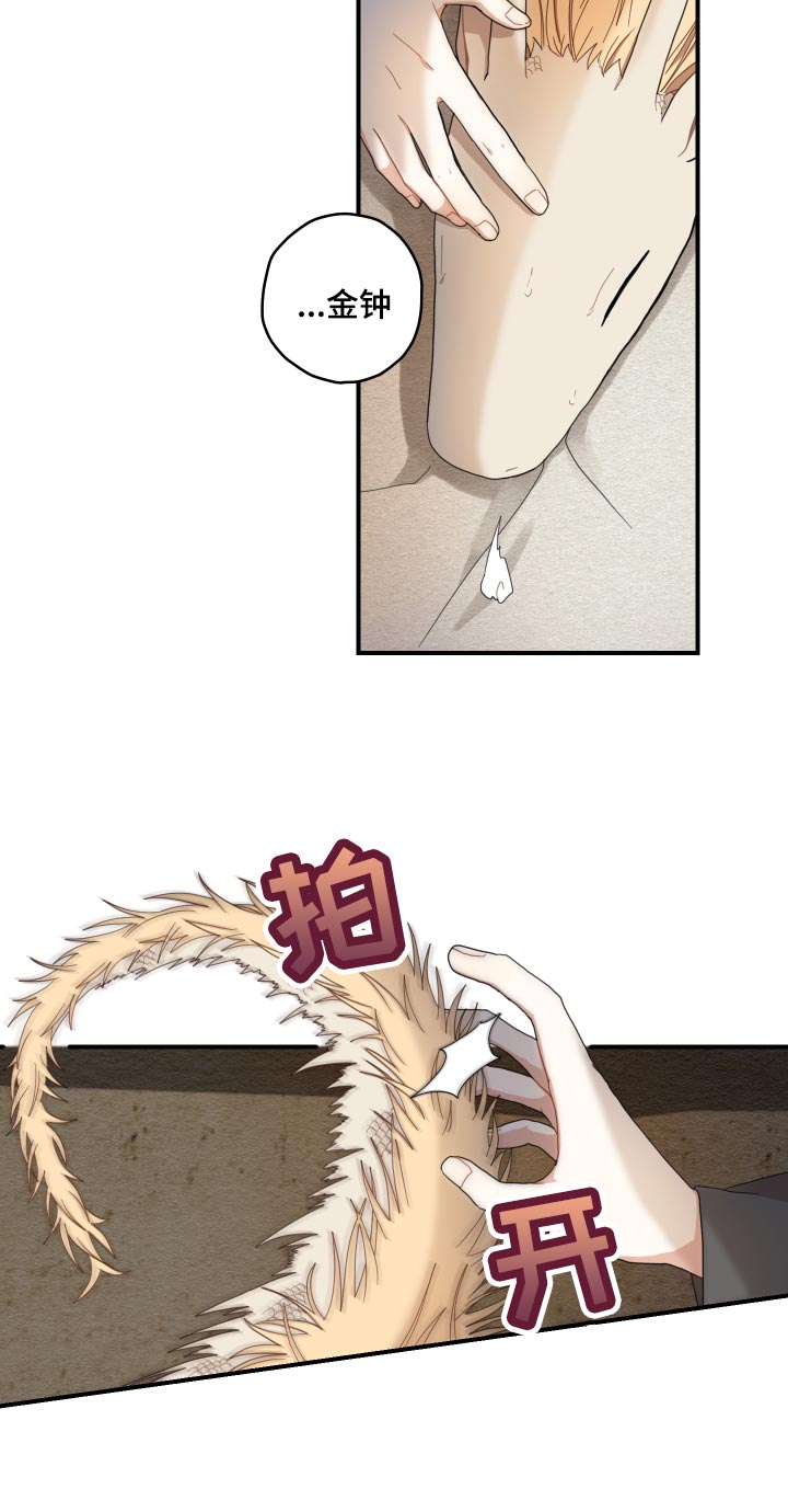 第23章：发烧14