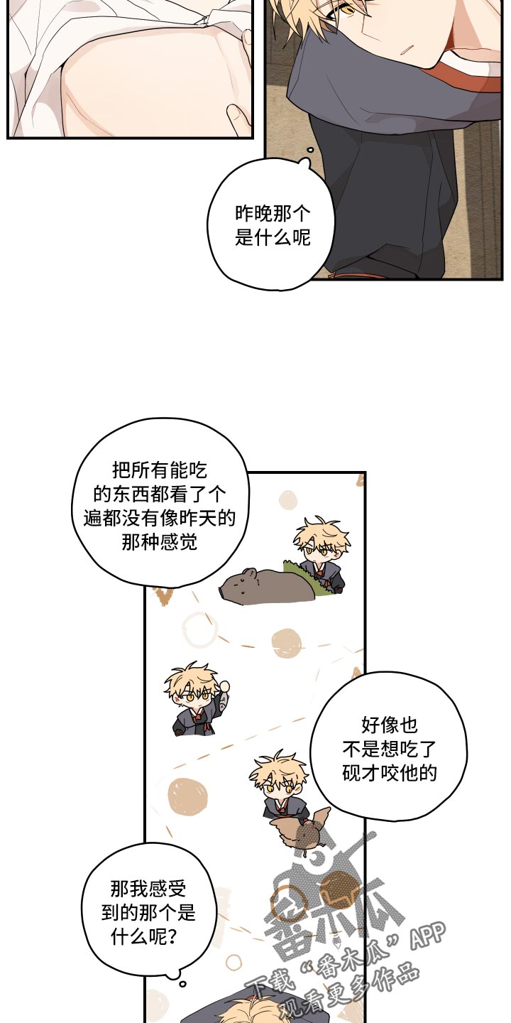 第32章：验证9
