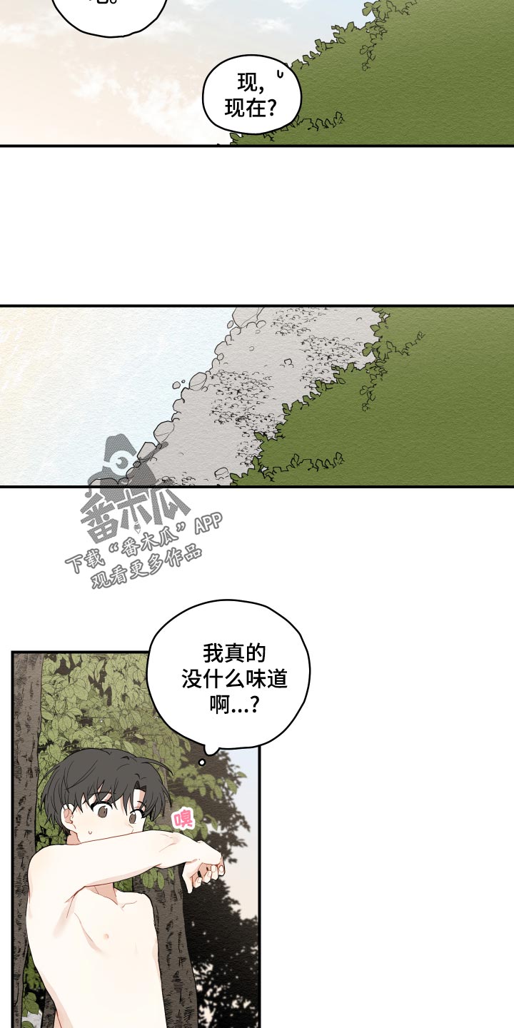 第28章：奇怪的味道13