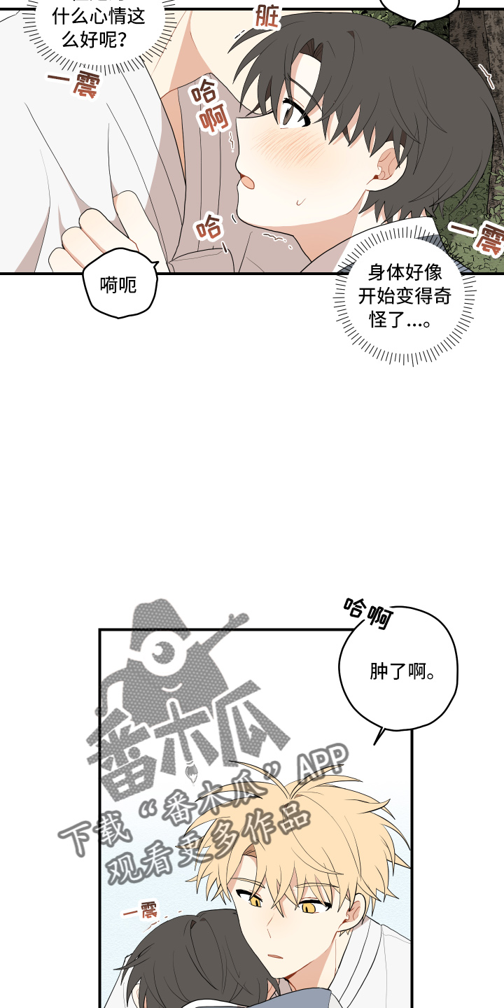 第40章：变熟悉15