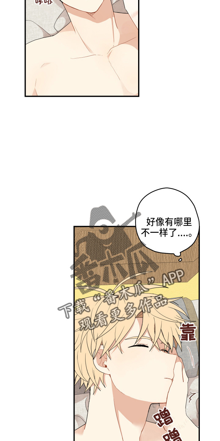 第38章：喜欢上了19
