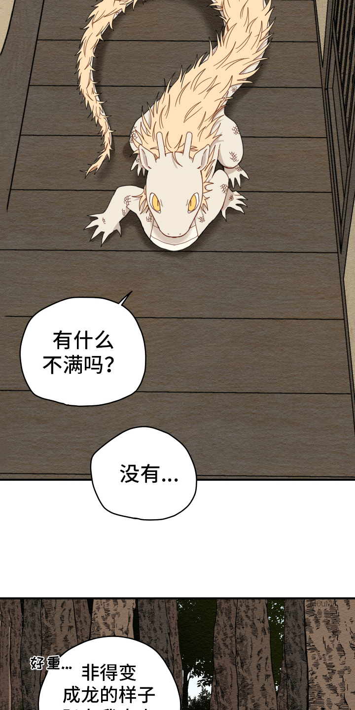 第18章：猎人8