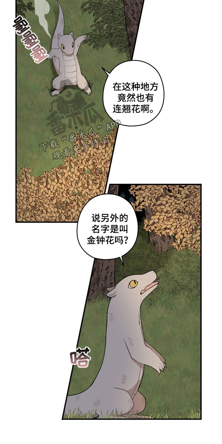 第60章：【番外】练习9