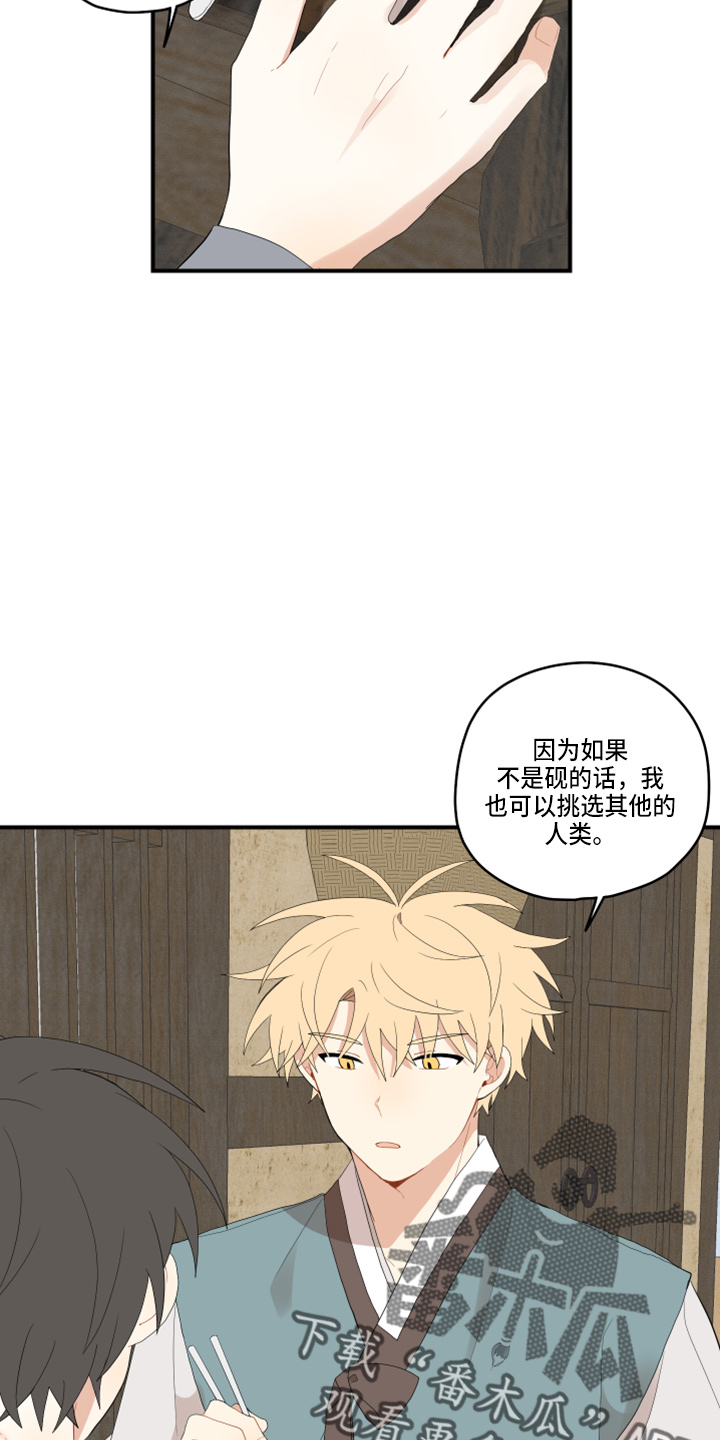 第46章：挑选14