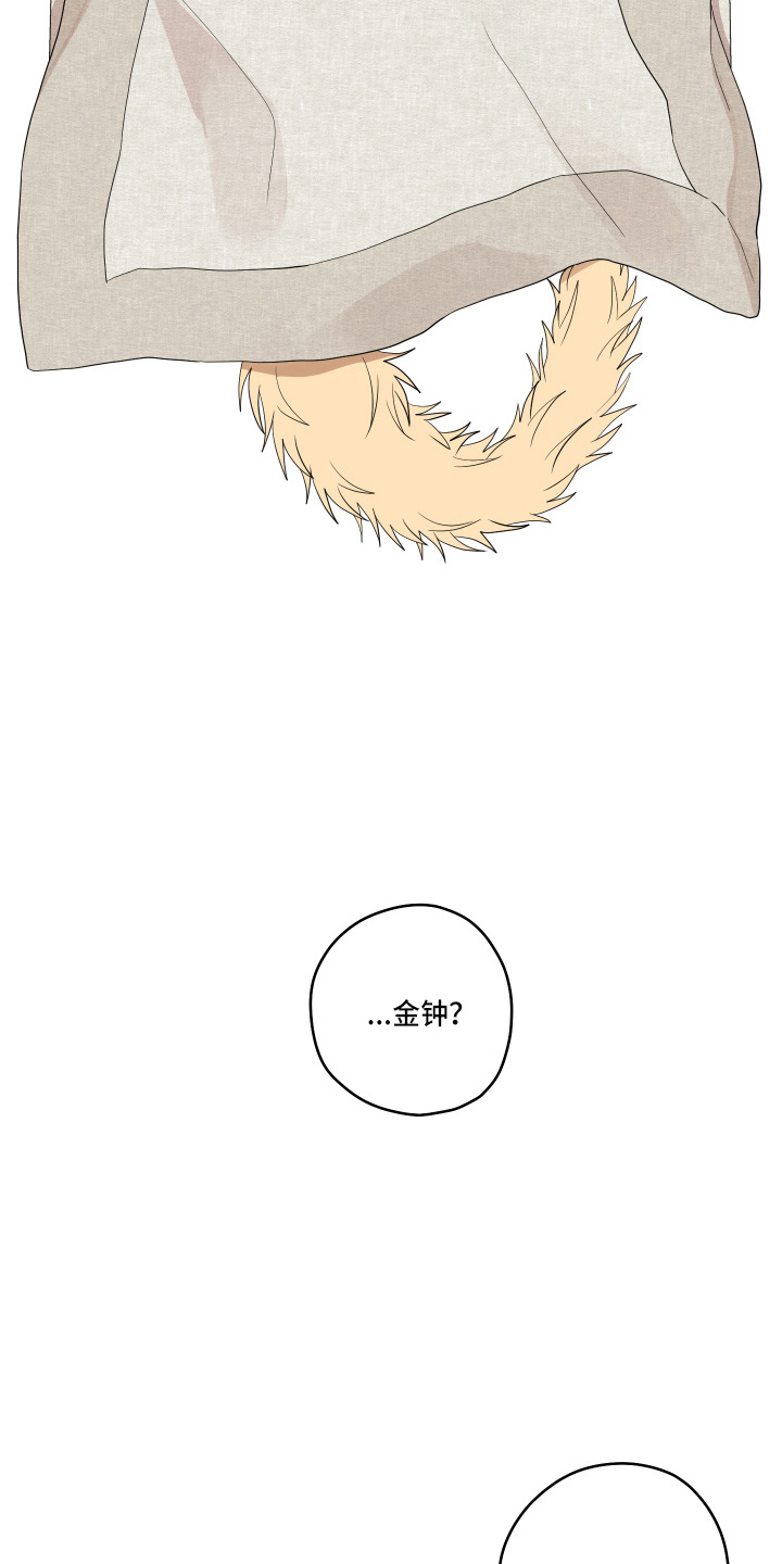 第38章：喜欢上了7