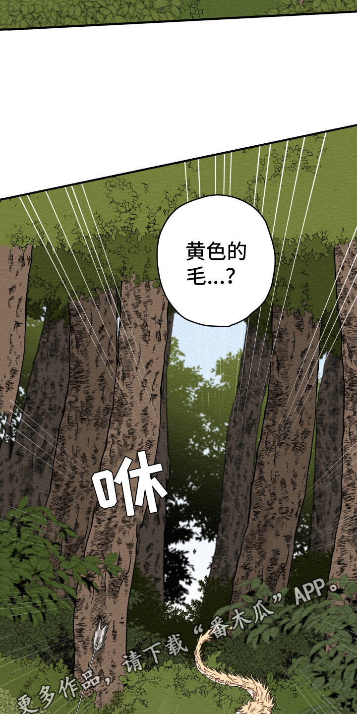 第18章：猎人18