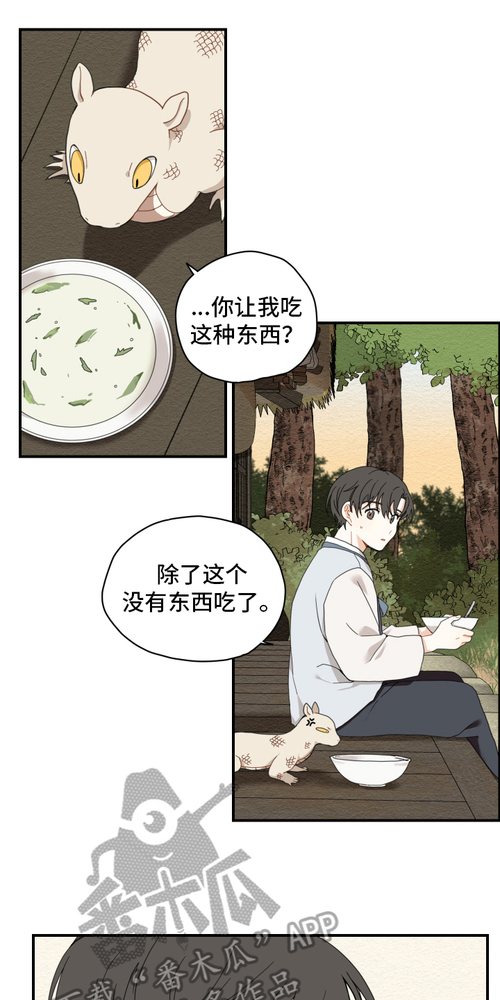 第4章：龙7