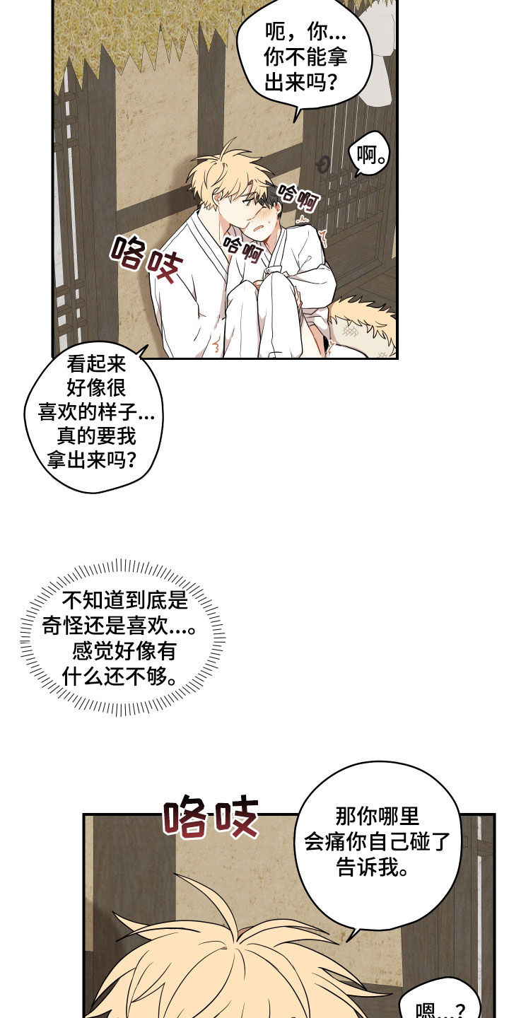 第67章：【番外】尾巴12