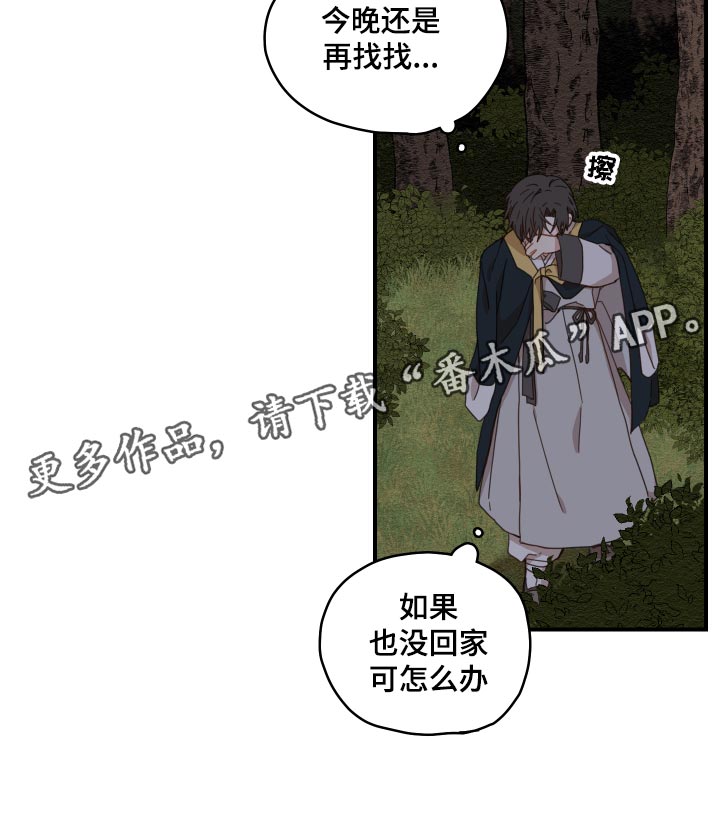 第22章：寻找15