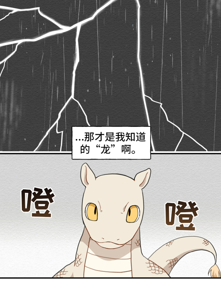 第4章：龙14